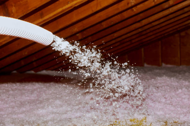 Best Energy Efficiency Insulation in Aromas, CA